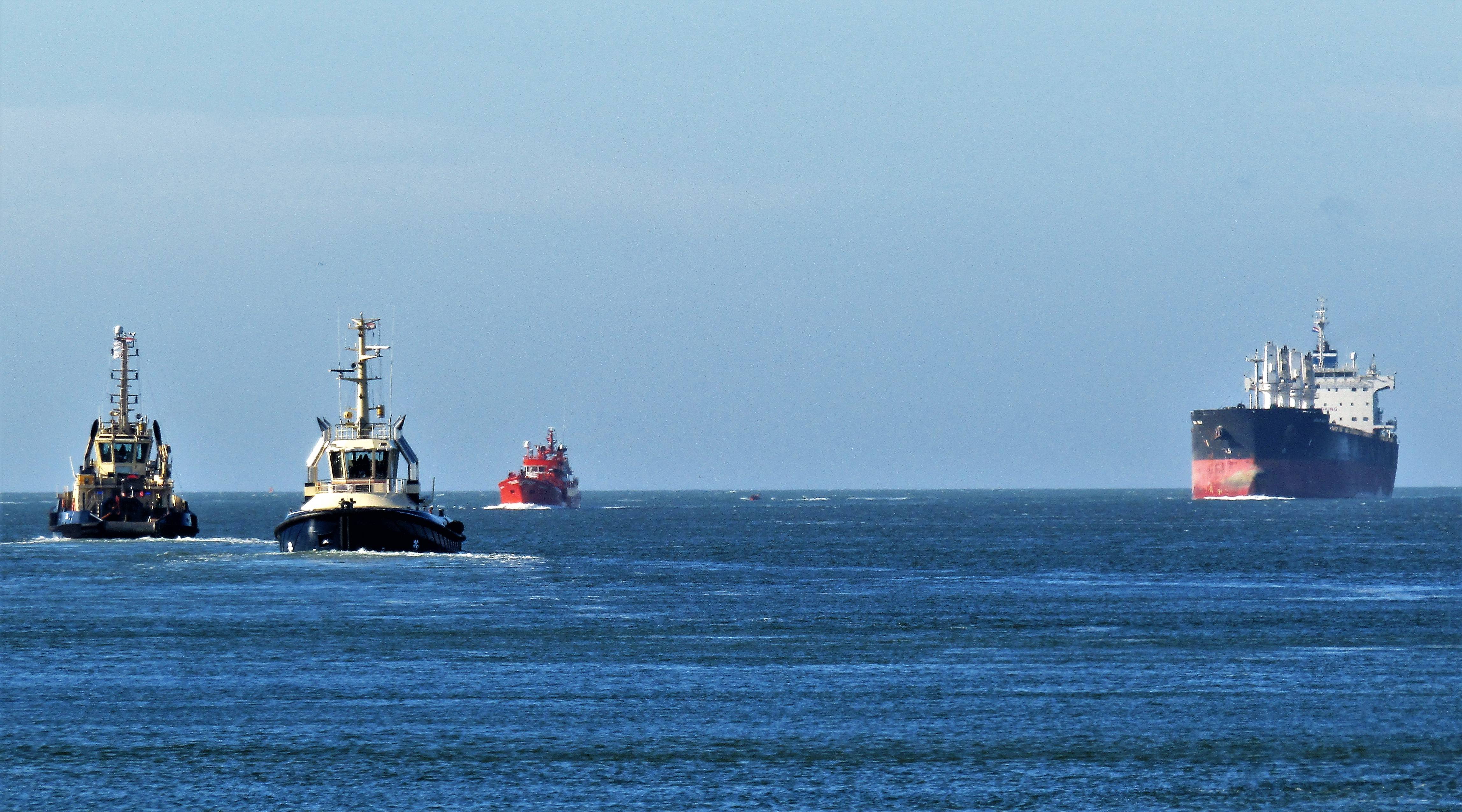 Pieren IJmuiden   26-10-22 